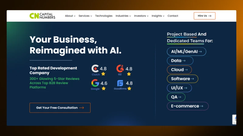 Screenshot of Capital Numbers website homepage – #7 WordPress development company in India